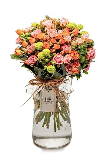 Adeline Çardak Gül