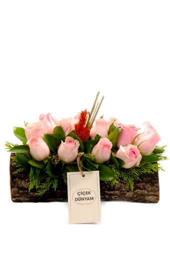 Carine Toz Pembe Gül