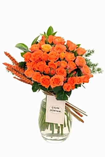 Lema Turuncu Çardak Gül