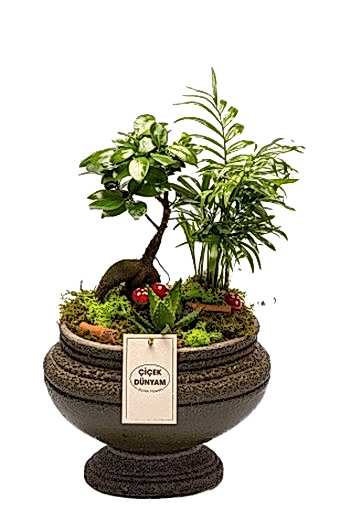 Love Green Şamadora