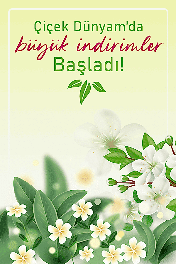 Çiçek Dünyam, İstanbul Çiçek Siparişi, Çiçek Gönder